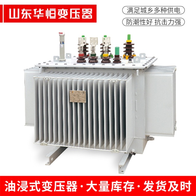 S13-10000/35杂多杂多杂多电力变压器